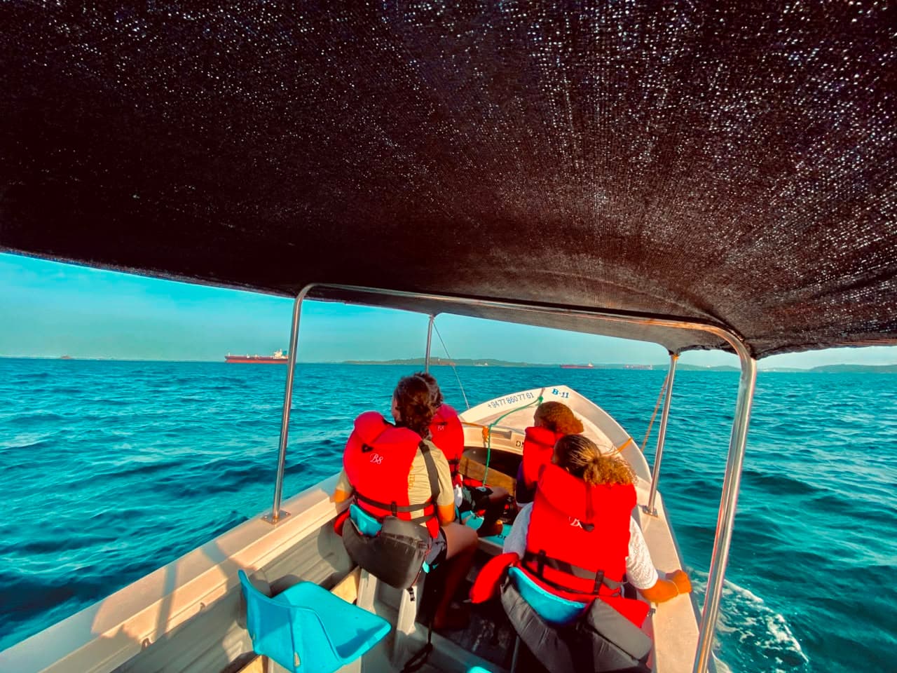 Morning Dolphin Cruise