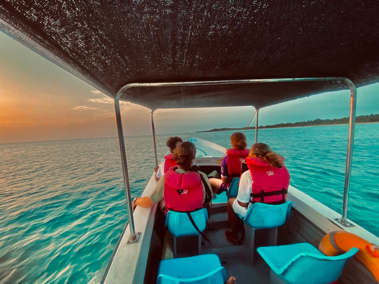 Dolphin Pod Sunset