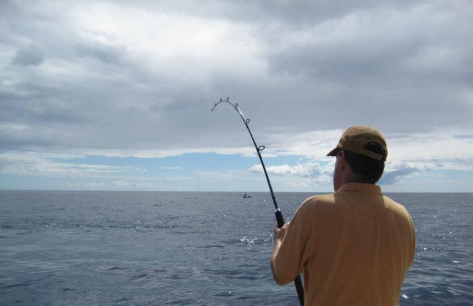The Big Catch
