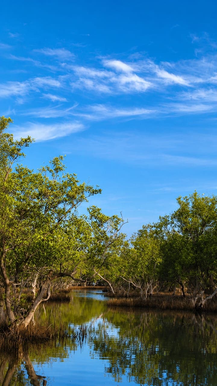 Scenic Lagoon View