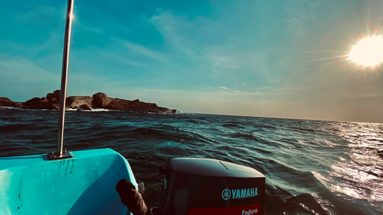 Shallow Reef Wonders